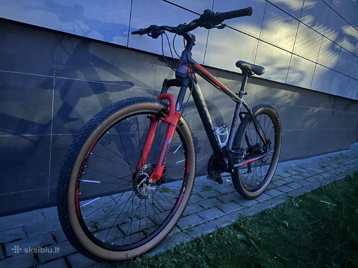 Umit Mirage L dydzio, 29er - nuotraukos Nr. 5