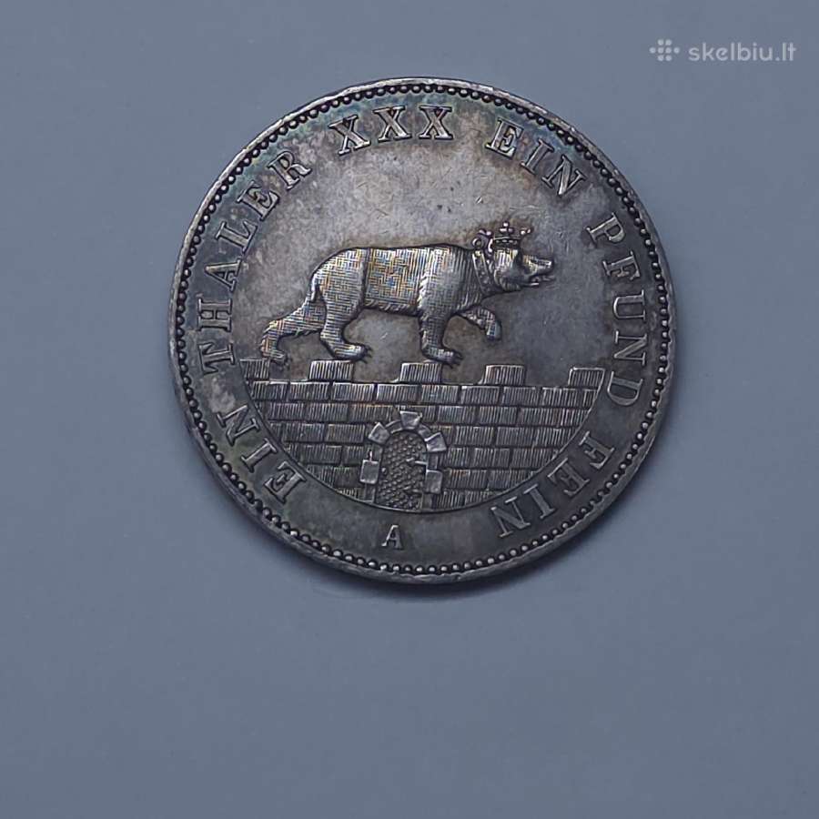 1861 m. – Anhalt-bernburg kalnakasybos taleris - nuotraukos Nr. 8