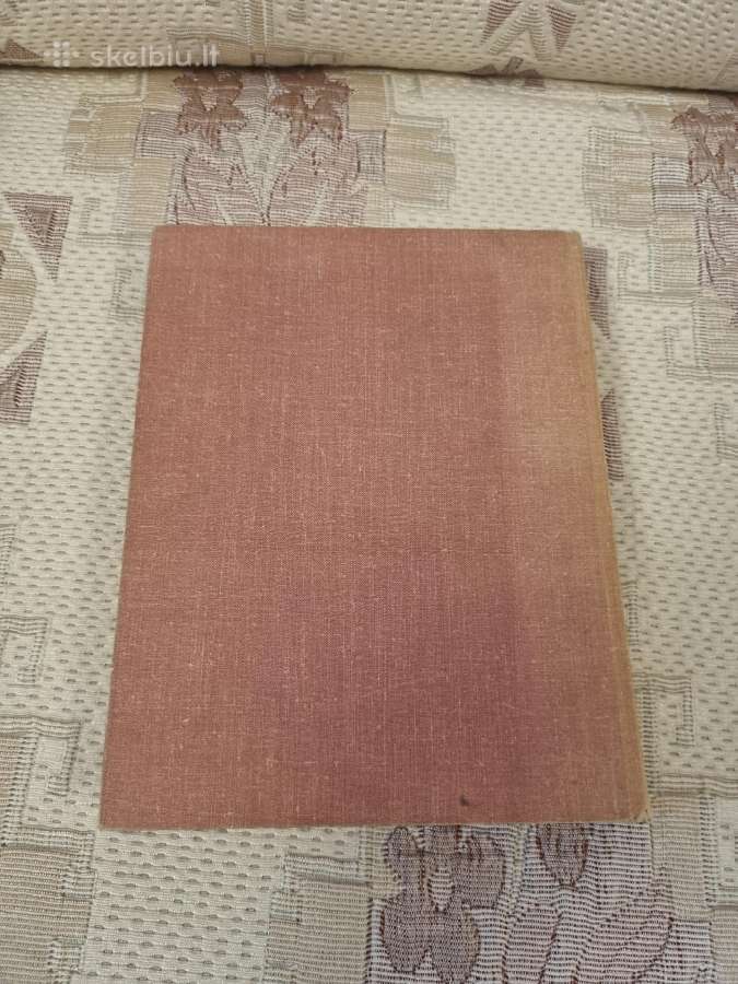 Biblijos sakmės - nuotraukos Nr. 8