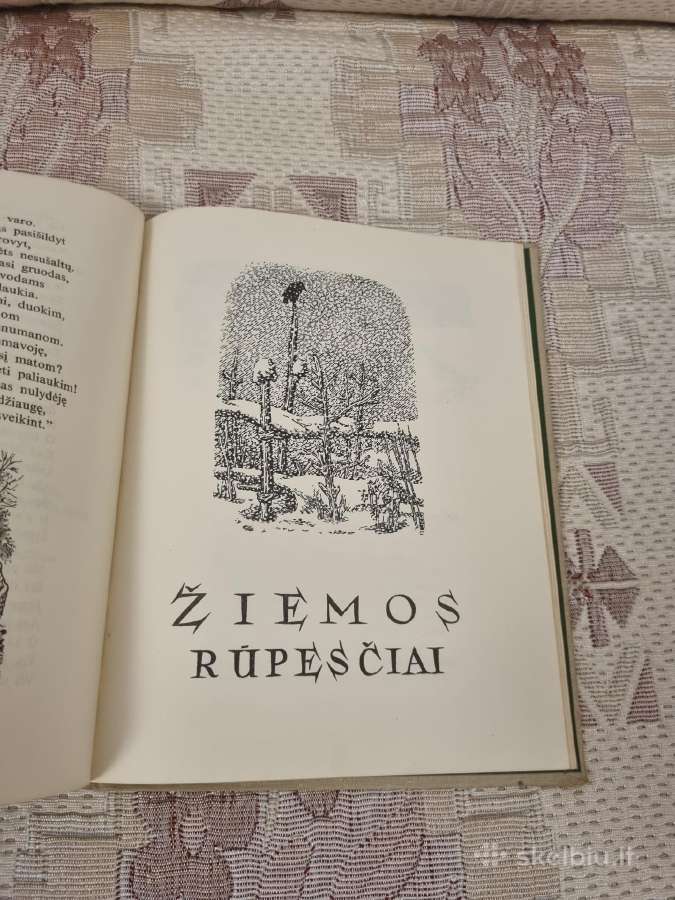 Kristijonas Donelaitis Metai - nuotraukos Nr. 6