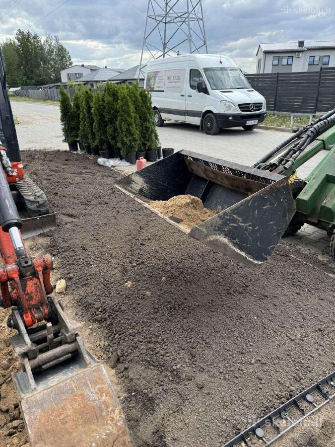 Nuo idėjos iki svajonių kiemo apželdinimo - nuotraukos Nr. 4