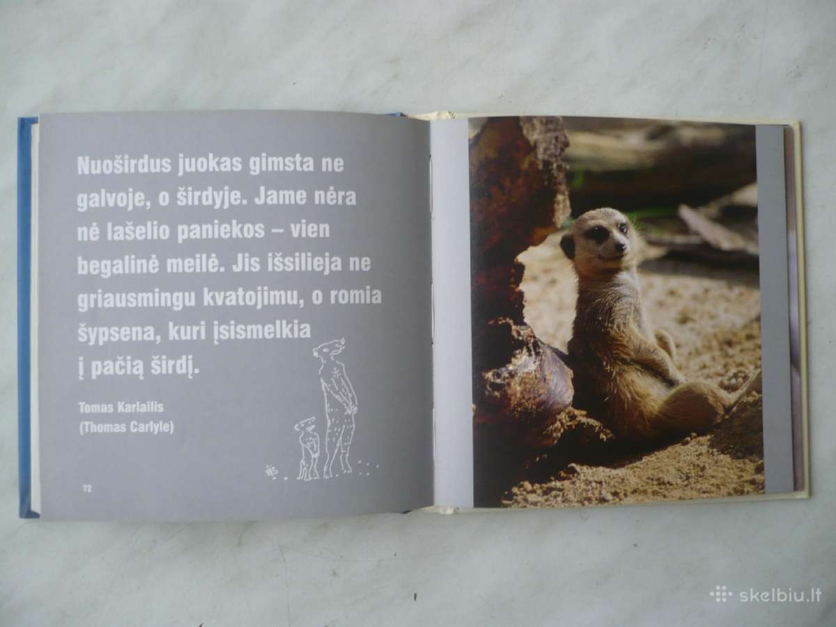 D. Baird - Juokis, ir pasaulis juoksis su tavimi - nuotraukos Nr. 3