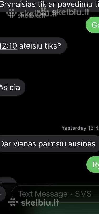 Ausinės pro 2 ir pro 3 pabandymas prieš perkant - nuotraukos Nr. 13