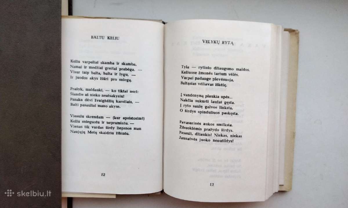 S. Nėris. Širdis mana - audrų daina. 1974 m. leid. - nuotraukos Nr. 7