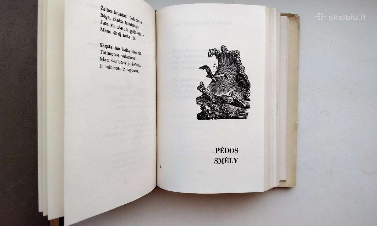 S. Nėris. Širdis mana - audrų daina. 1974 m. leid. - nuotraukos Nr. 8