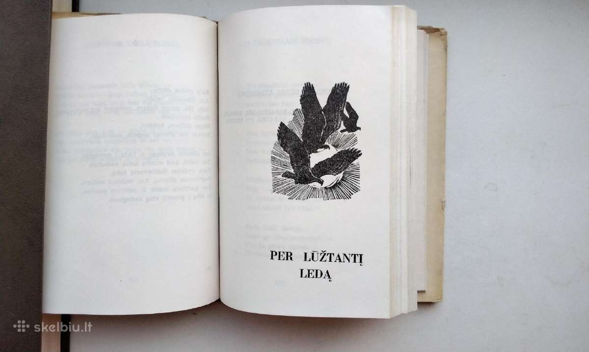 S. Nėris. Širdis mana - audrų daina. 1974 m. leid. - nuotraukos Nr. 9