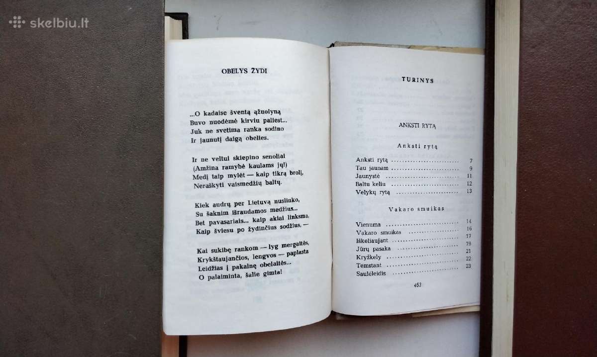 S. Nėris. Širdis mana - audrų daina. 1974 m. leid. - nuotraukos Nr. 11