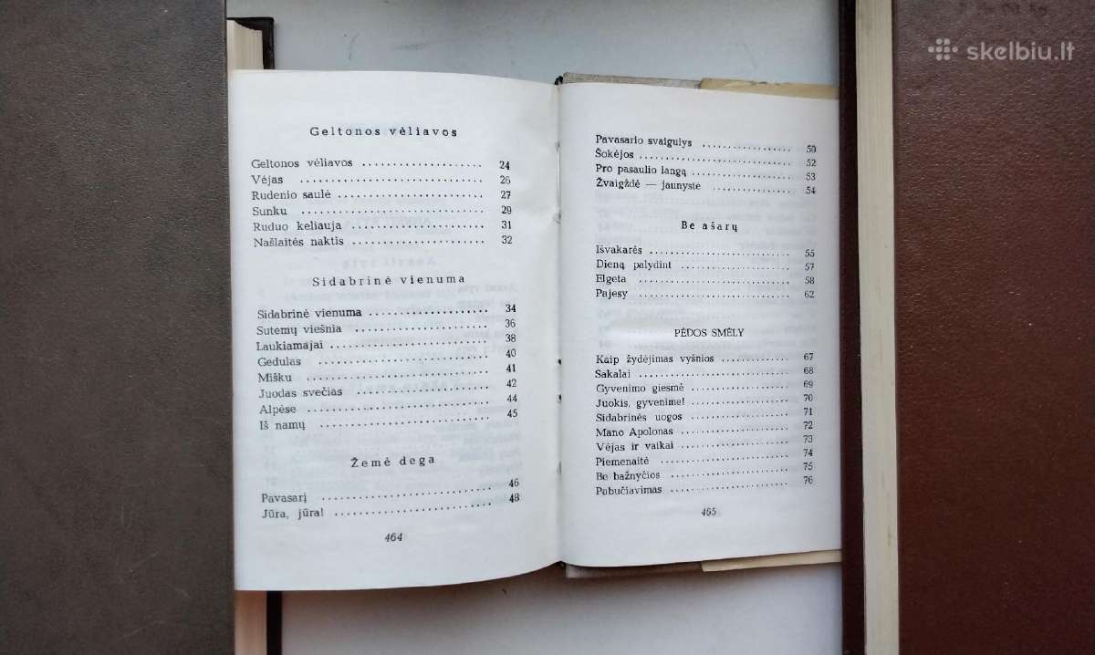 S. Nėris. Širdis mana - audrų daina. 1974 m. leid. - nuotraukos Nr. 12