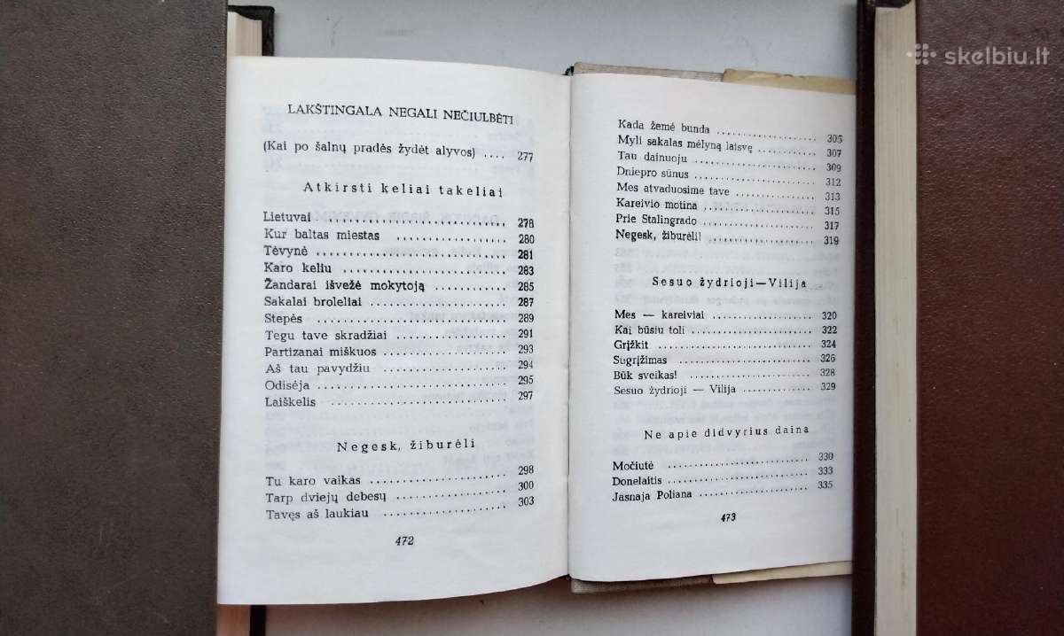 S. Nėris. Širdis mana - audrų daina. 1974 m. leid. - nuotraukos Nr. 16