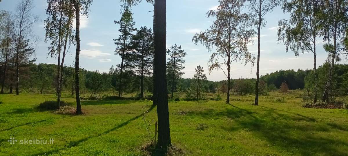 Eksliuzyvinis sklypas - nuotraukos Nr. 10
