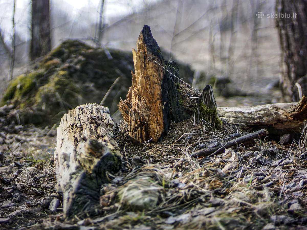 Industar-50 3.5/50 M39 - nuotraukos Nr. 7