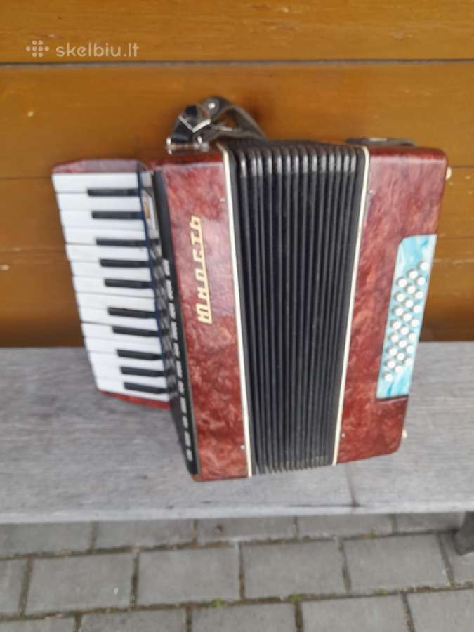 Muzikos instrumentai - nuotraukos Nr. 2