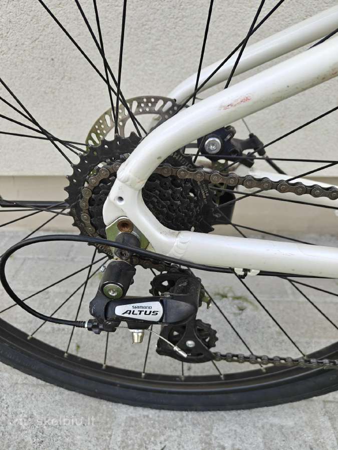White Ax 290 - nuotraukos Nr. 3