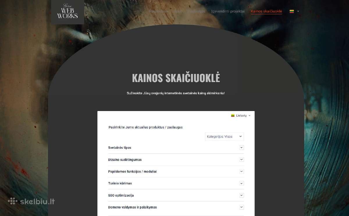 Profesionalus svetainių kūrimas - nuotraukos Nr. 9