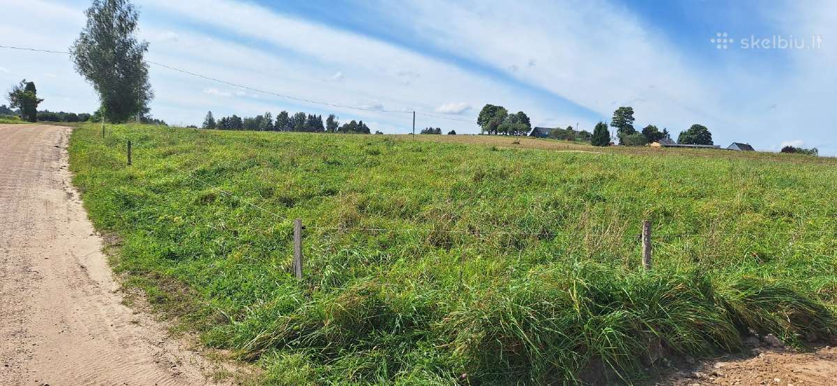 Parduodu sklypą šalia Plungės Nugarių g. - nuotraukos Nr. 11