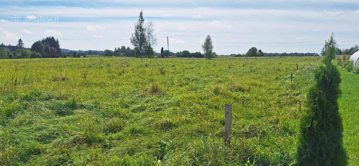Parduodu sklypą šalia Plungės Nugarių g. - nuotraukos Nr. 12