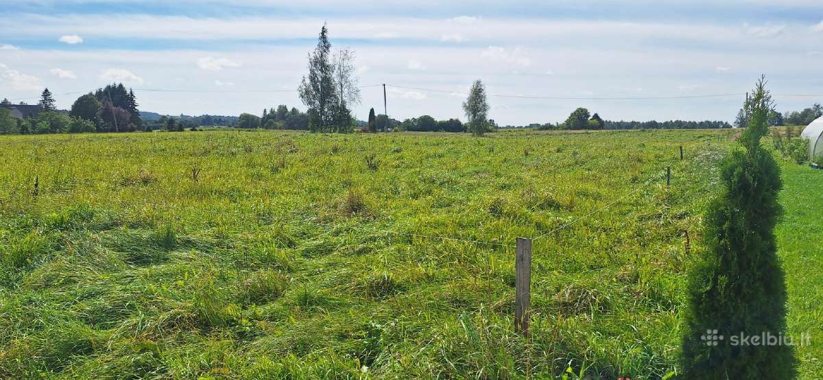 Parduodu sklypą šalia Plungės Nugarių g. - nuotraukos Nr. 16