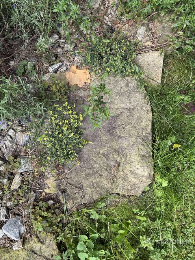 Skalūno akmenys takeliams arba alpinariumas. - nuotraukos Nr. 4