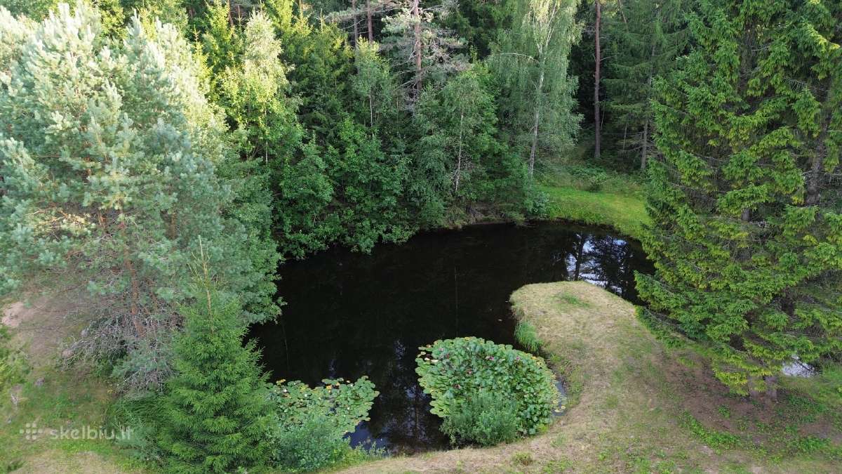 Parduodu Sodyba - nuotraukos Nr. 10