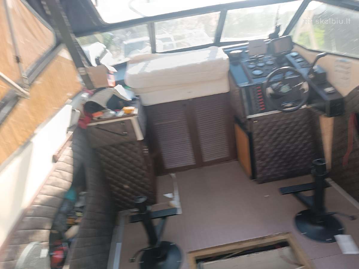 Kateris marex Dixie21 - nuotraukos Nr. 11