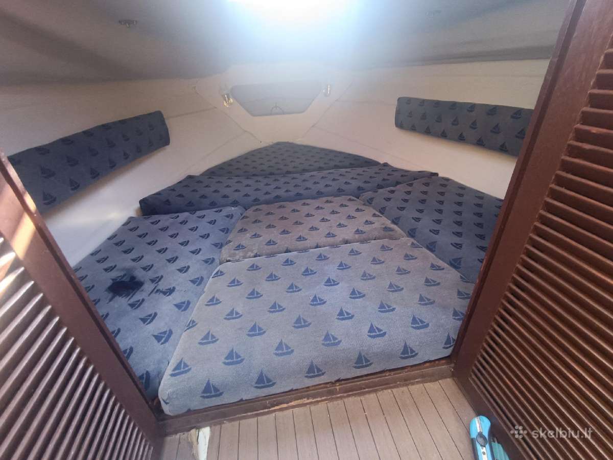 Kateris marex Dixie21 - nuotraukos Nr. 12
