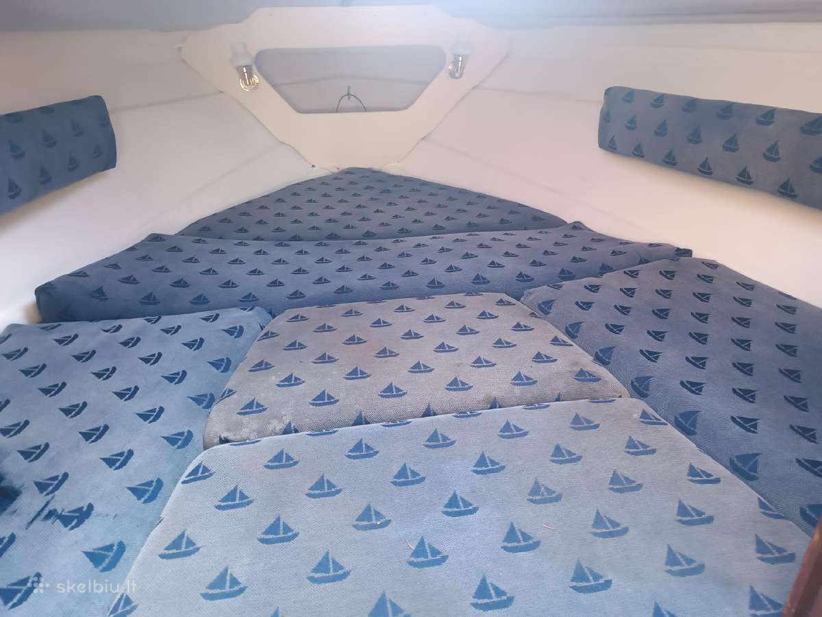 Kateris marex Dixie21 - nuotraukos Nr. 13