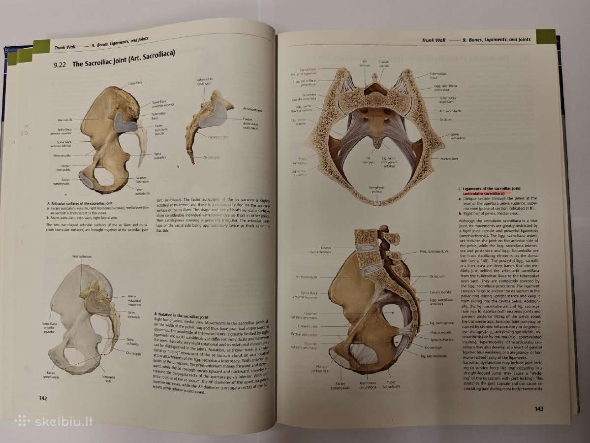 Thieme Atlas of Anatomy - nuotraukos Nr. 3