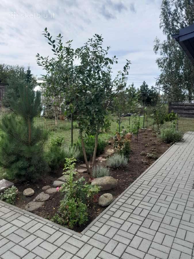 Parduodu sodo sklypa su nameliu . - nuotraukos Nr. 7