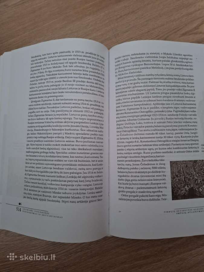 Lietuvos istorija. Edvardas Gudavičius - nuotraukos Nr. 6