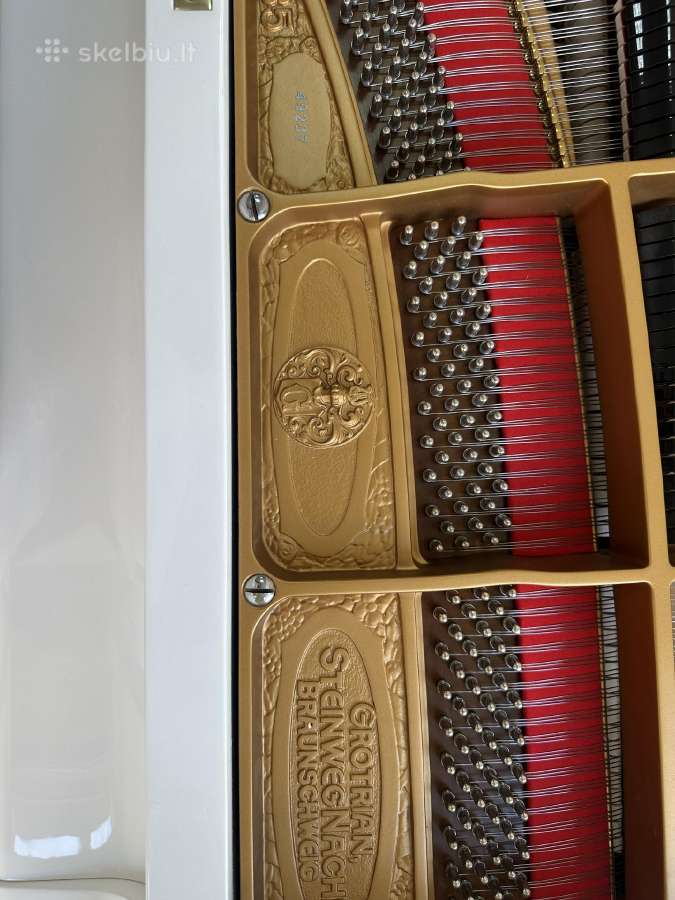 Fortepijonas "Grotrian Steinweg" 189cm - nuotraukos Nr. 5