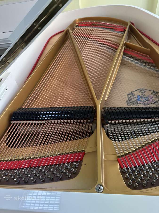 Fortepijonas "Grotrian Steinweg" 189cm - nuotraukos Nr. 6