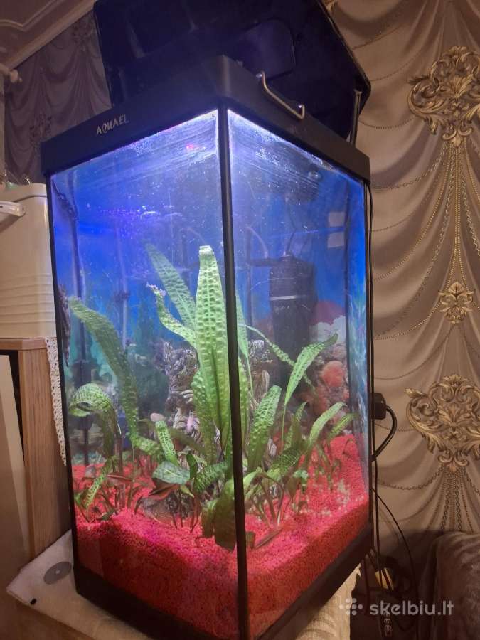 Parduodu akvariumą - nuotraukos Nr. 5