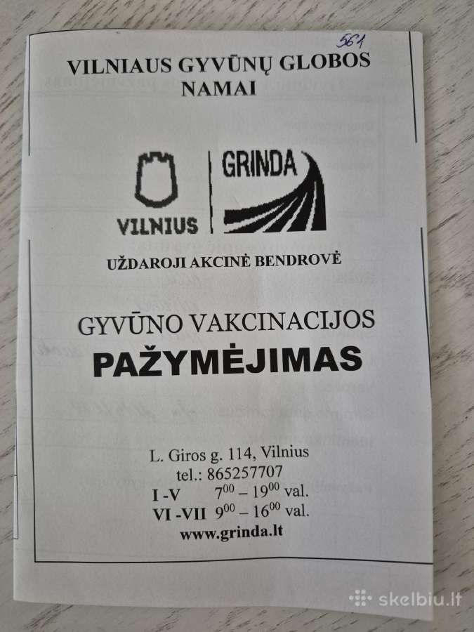 Dovanojama vyresnė katytė - nuotraukos Nr. 5