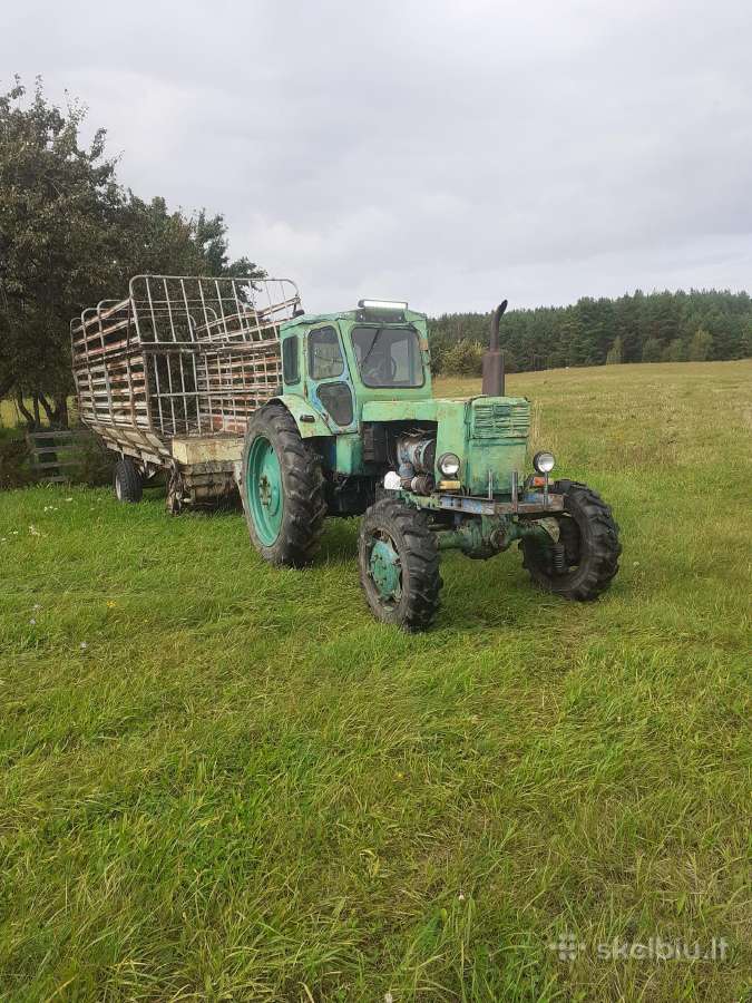 T40 - nuotraukos Nr. 7