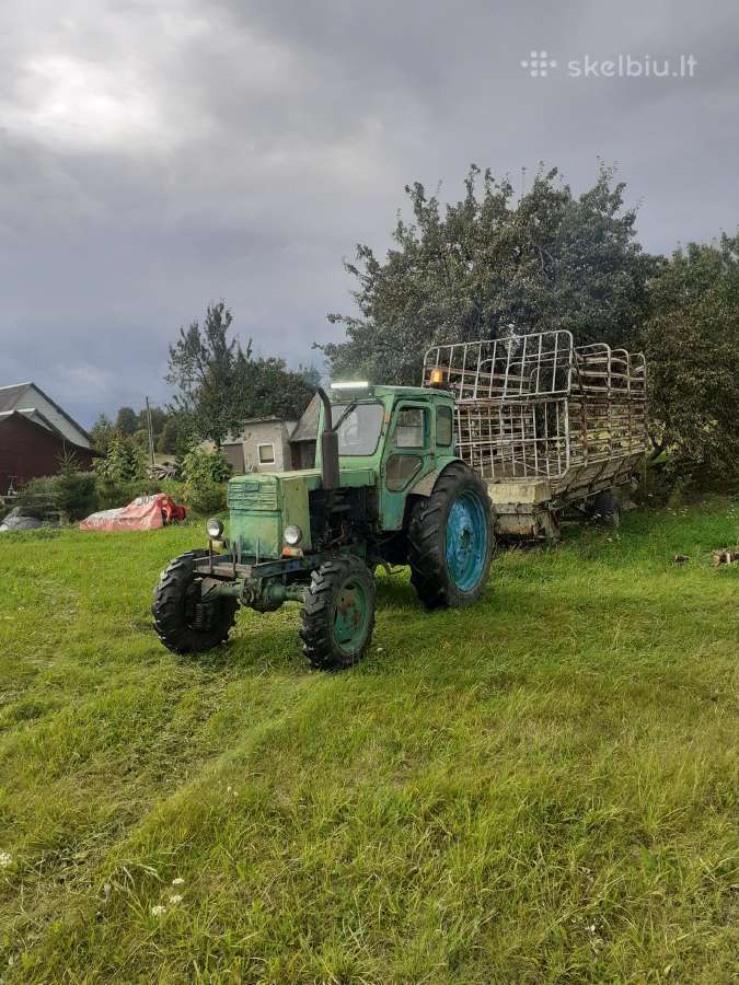 T40 - nuotraukos Nr. 8