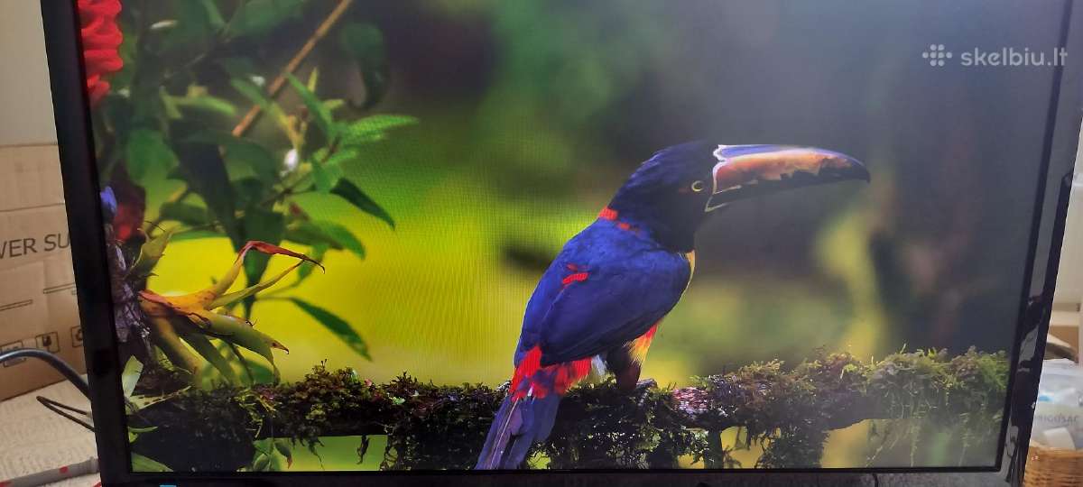 Samsung S24c300 Full HD monitorius - nuotraukos Nr. 15