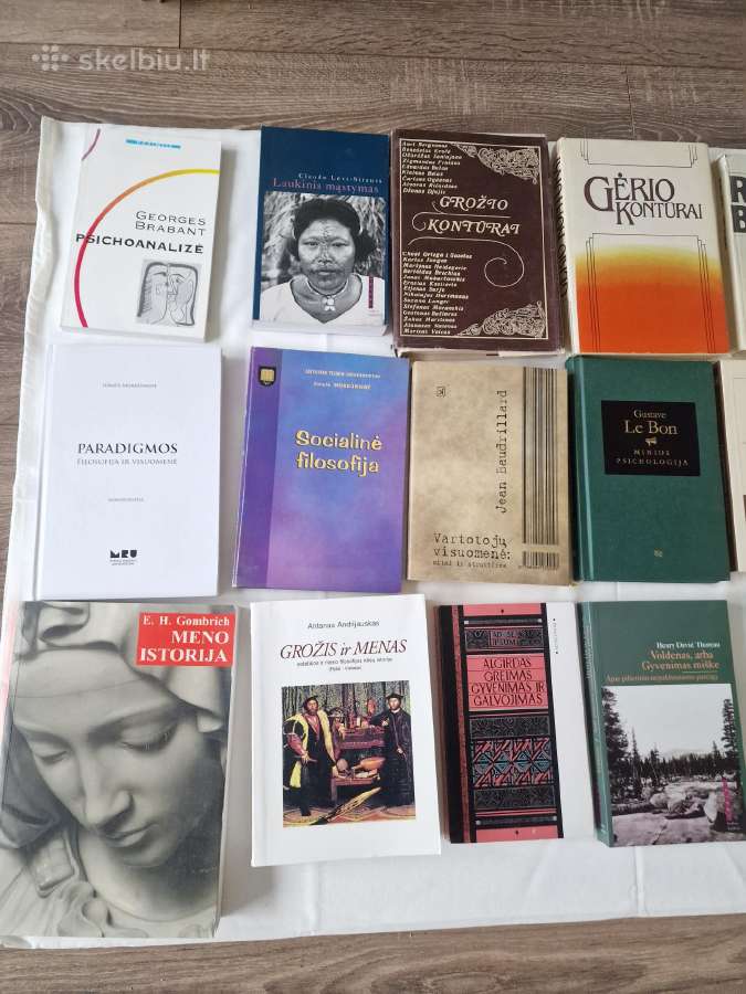 Meno istorija, estetika ir kultūros teorija - nuotraukos Nr. 2