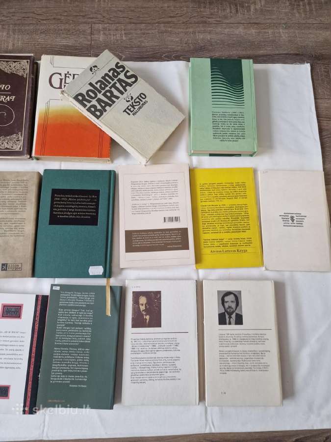 Meno istorija, estetika ir kultūros teorija - nuotraukos Nr. 5