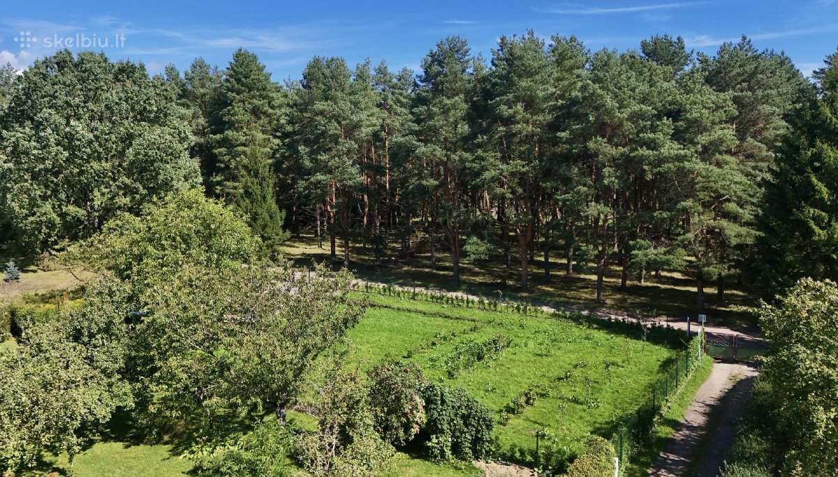 9 arų sodo sklypas su projektu puikioje vietoje - nuotraukos Nr. 10