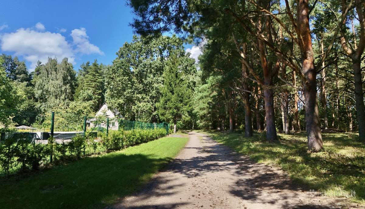 9 arų sodo sklypas su projektu puikioje vietoje - nuotraukos Nr. 11