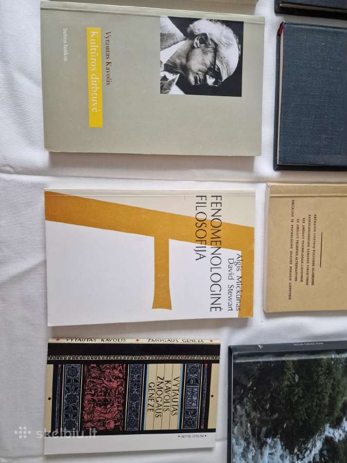 Lietuvių filosofija ir kultūros teorija - nuotraukos Nr. 5