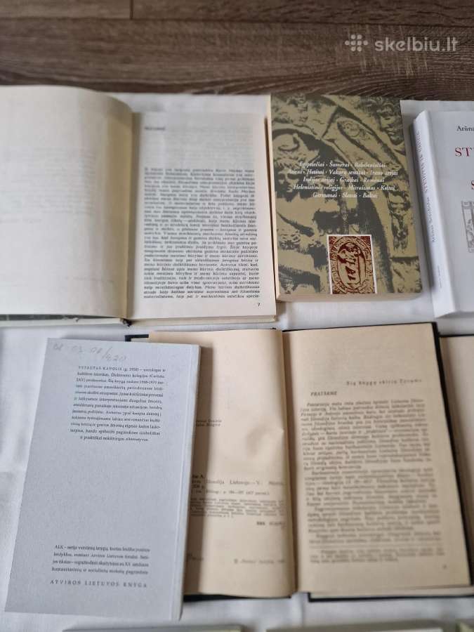 Lietuvių filosofija ir kultūros teorija - nuotraukos Nr. 7