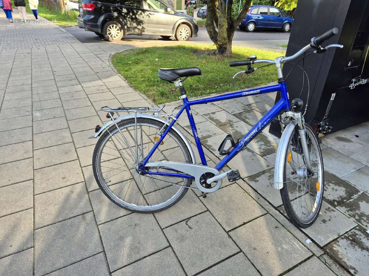 Panther Rasant 28" - nuotraukos Nr. 2