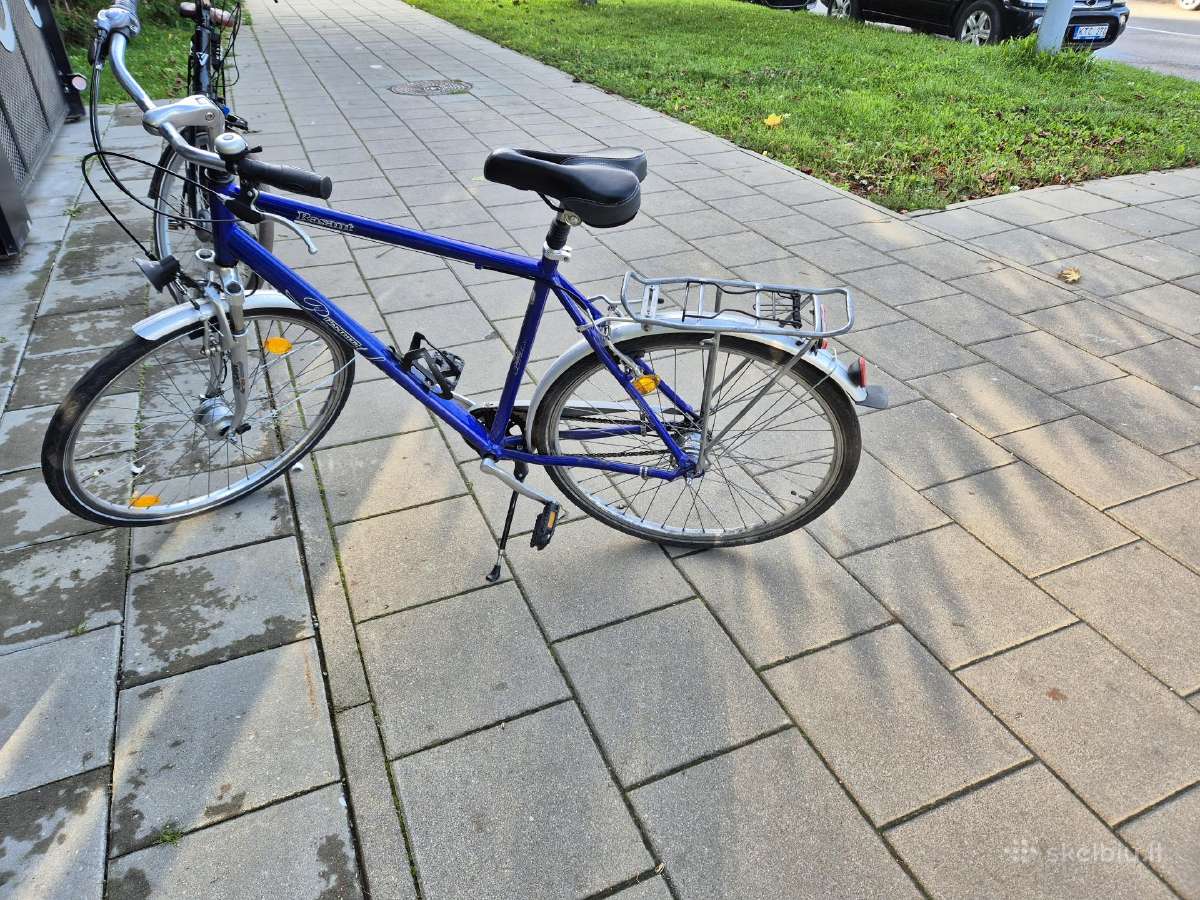 Panther Rasant 28" - nuotraukos Nr. 3