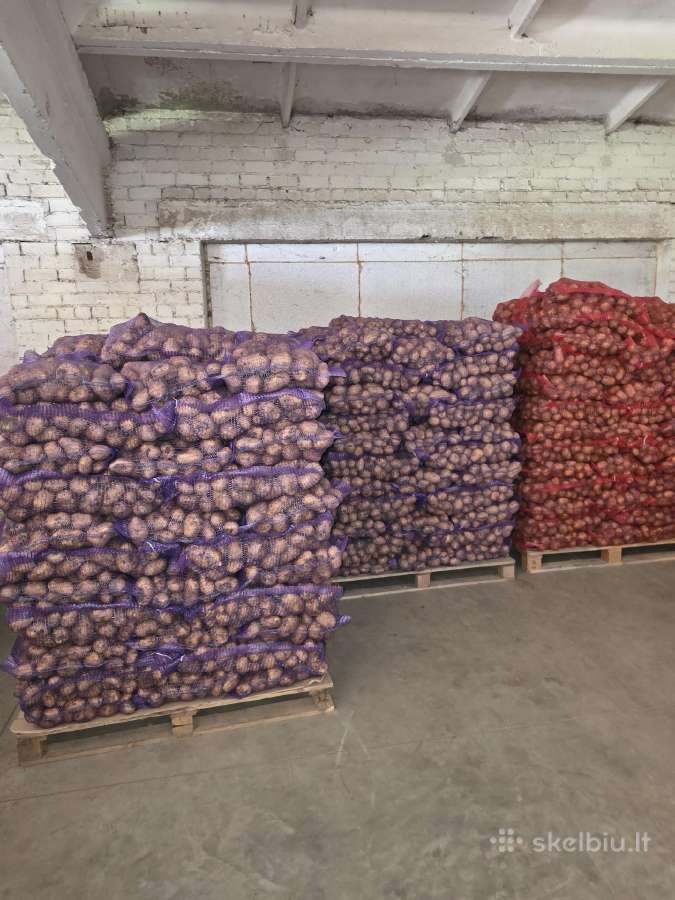 Bulvės didmena nuo 0,25 €/kg Pristatymas visoje - nuotraukos Nr. 2