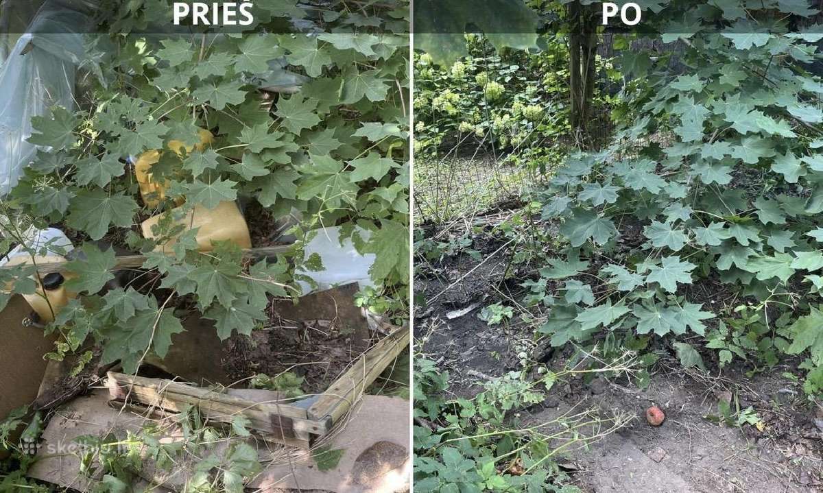 Perkraustymos paslaugos,baldų išvežimas - nuotraukos Nr. 13