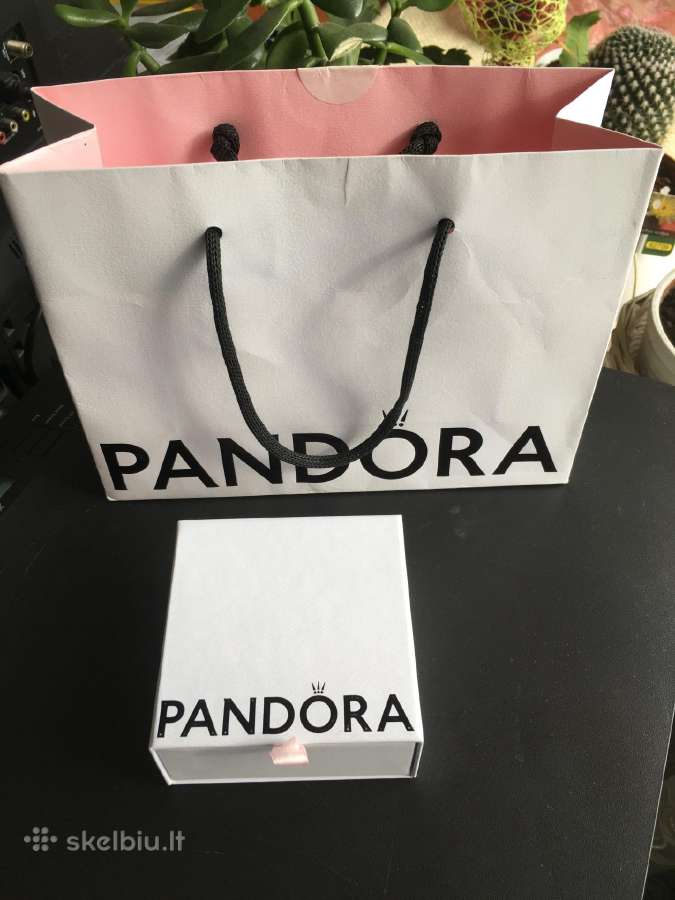 Nauja Pandora apyrankė Forever and Ever - nuotraukos Nr. 4