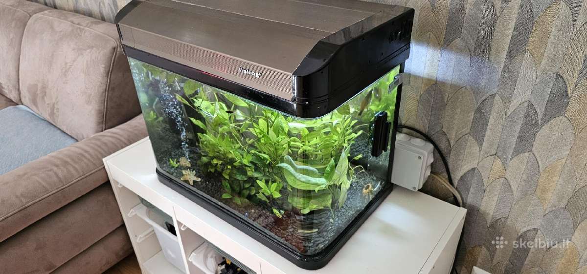 Akvariumas 80 L - nuotraukos Nr. 2