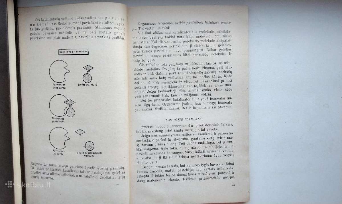 I. Azimovas. Cheminiai gyvybės agentai. 1961 m. le - nuotraukos Nr. 8