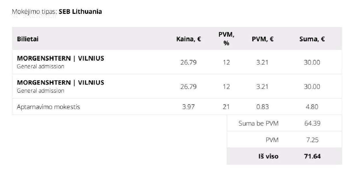 2 bilietai i Morgenstern koncera - nuotraukos Nr. 2